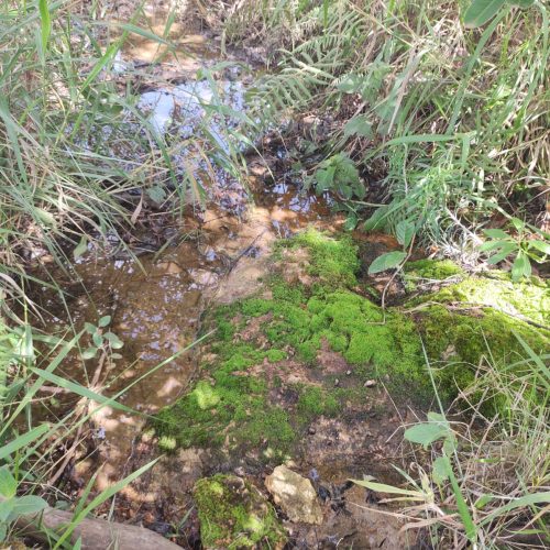 Monitoramento De Nascente 14